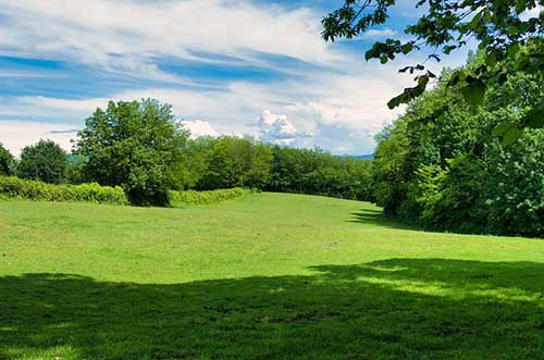 感恩的贊美詩歌大全