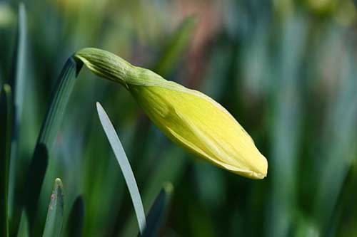 感謝別人幫助話語簡(jiǎn)短