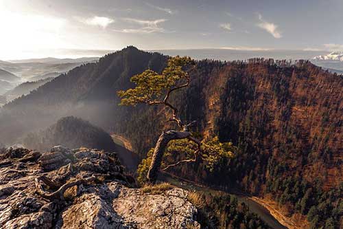 abac式詞語大全什么來什么去