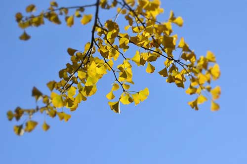 餐飲感謝顧客的話簡(jiǎn)短