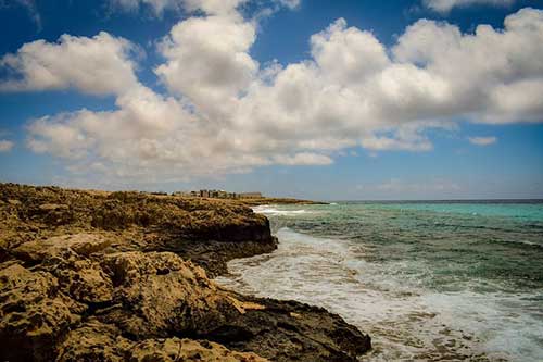 愛勞動懂感恩的句子